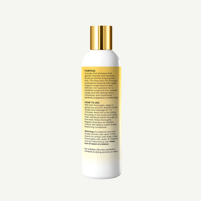 Scalp Balancing Shampoo & Scalp Restoring Conditioner Set
